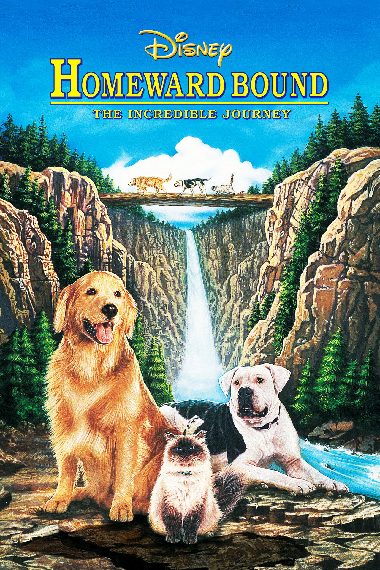 看狗在説話 (1993)
