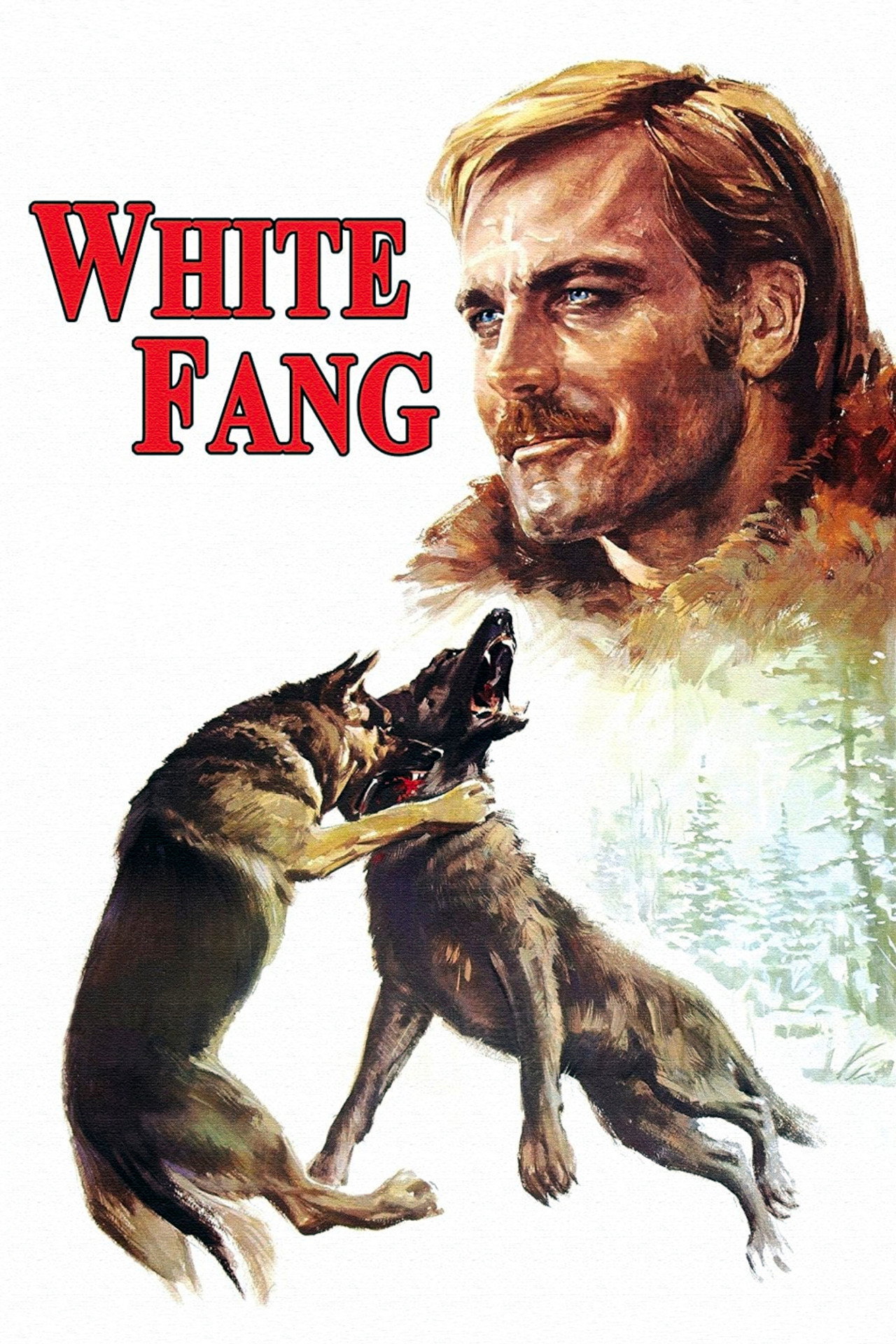 Zanna Bianca (1973) poster