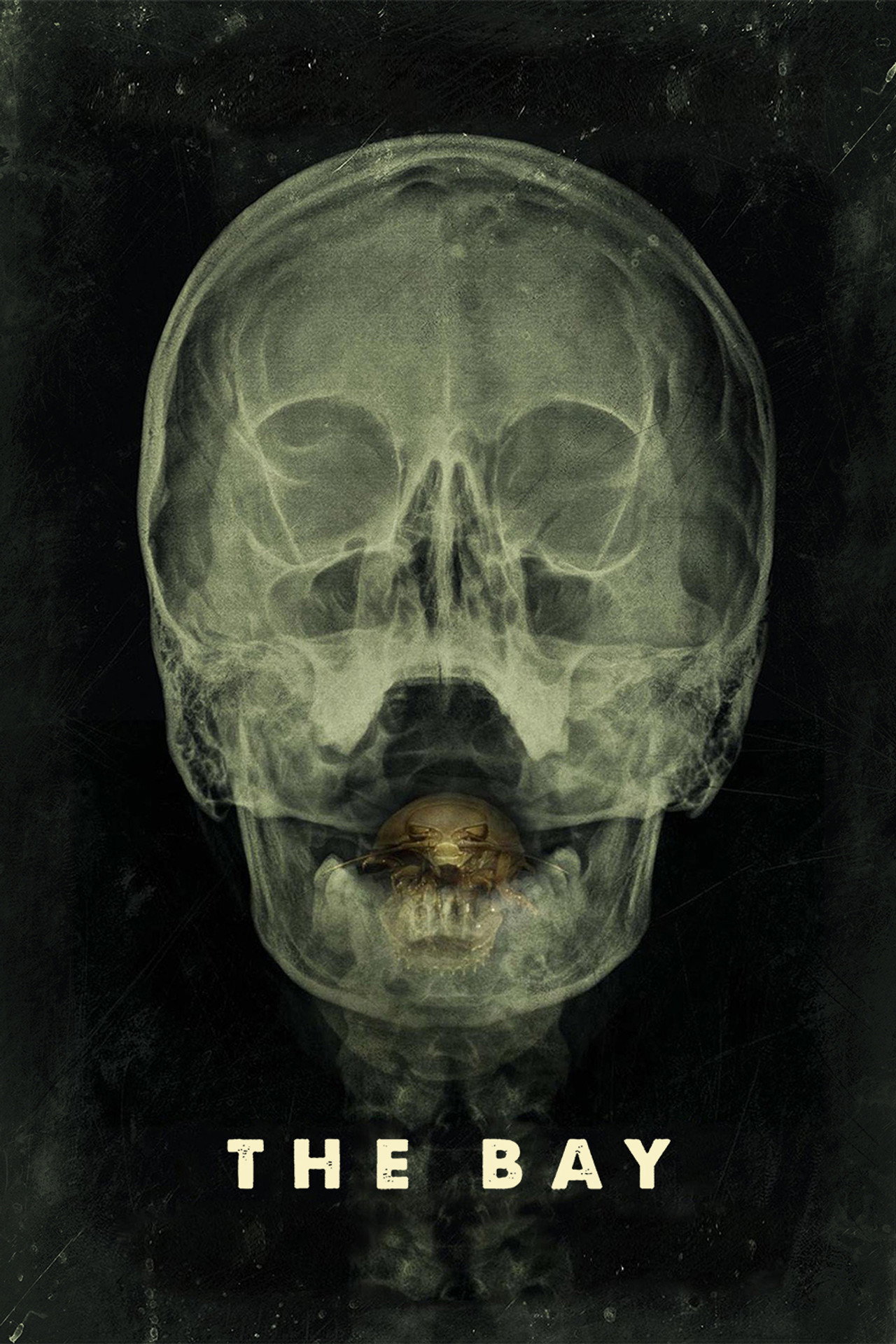Залив (2012) - Фильм