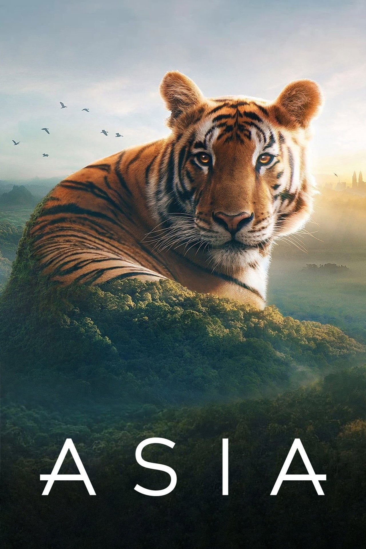 Asia (2024) - TV