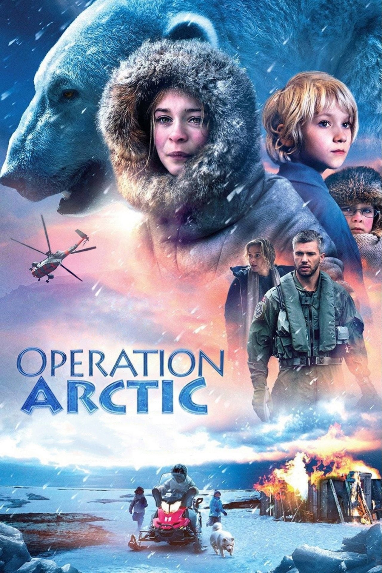 Выжить в Арктике (2014) poster