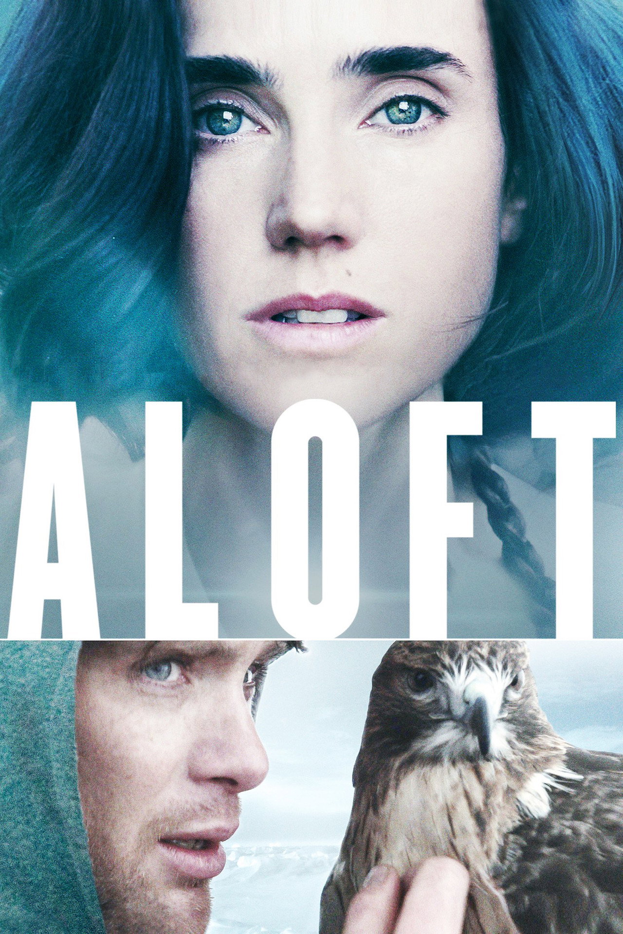 Il volo del falco (2014) poster