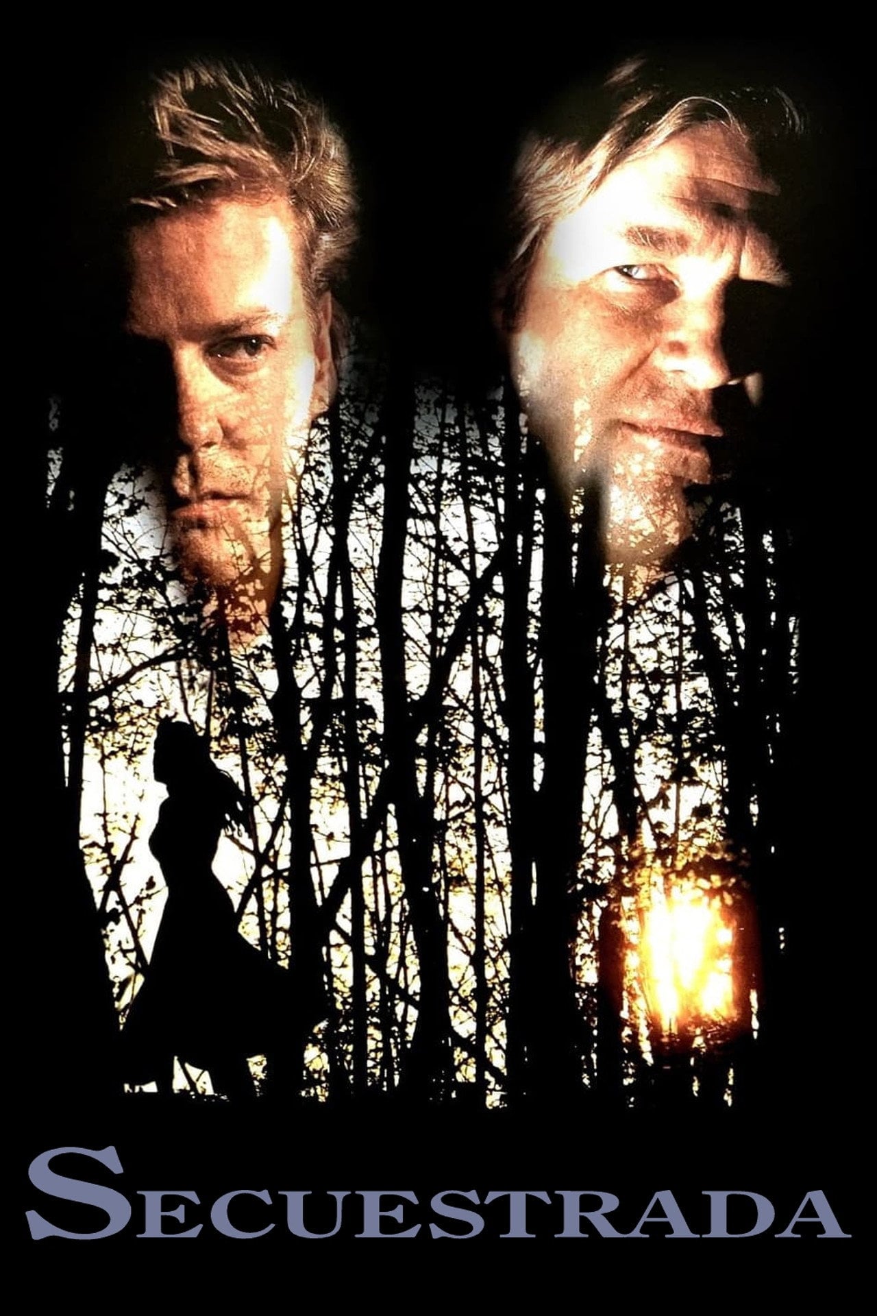 El Rapto (1993)
