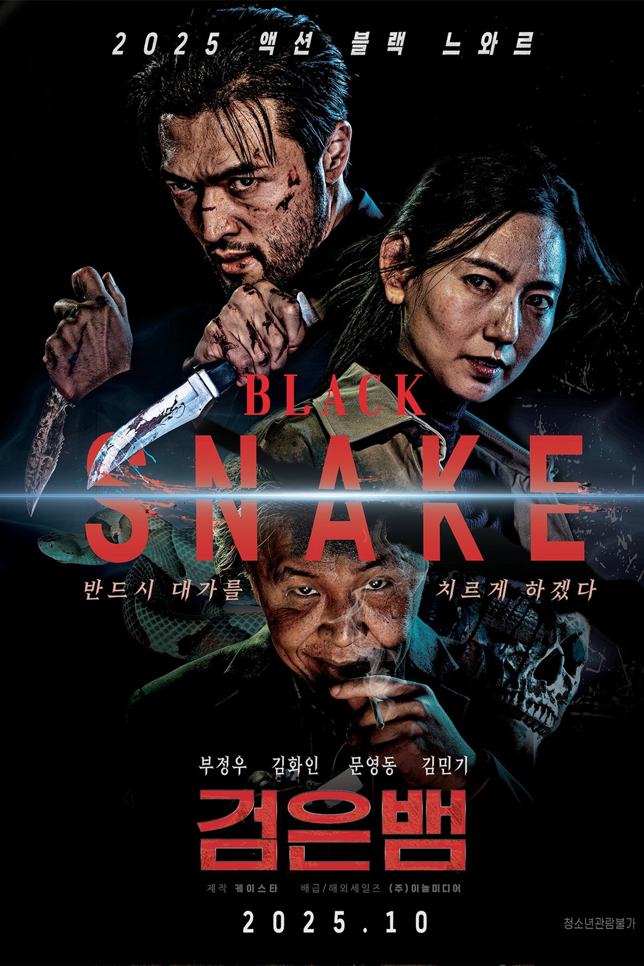 Чёрная змея (2025) poster