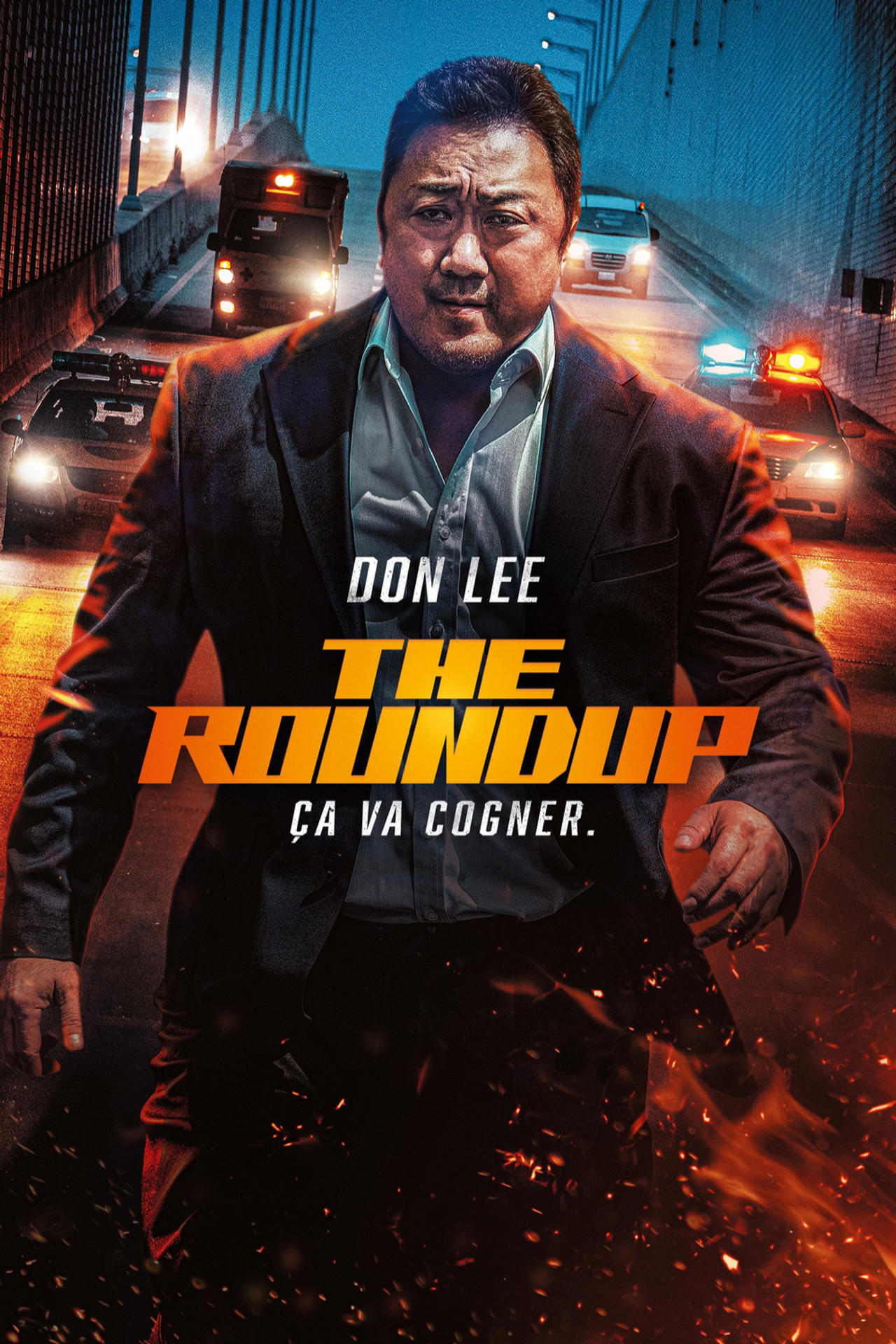 The Roundup (2022) - Film