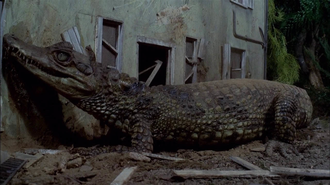 Attack of the Alligators!