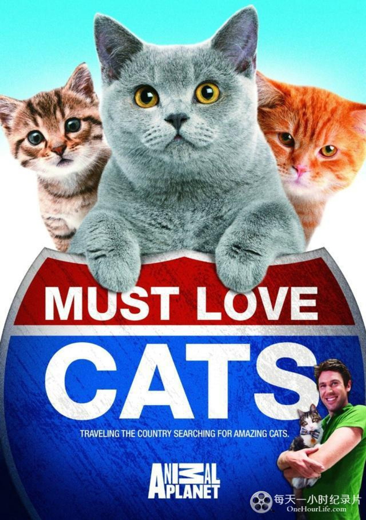 must love cats (2011)
