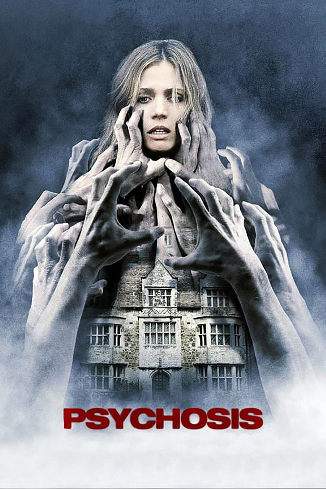 精神病 (2010) poster