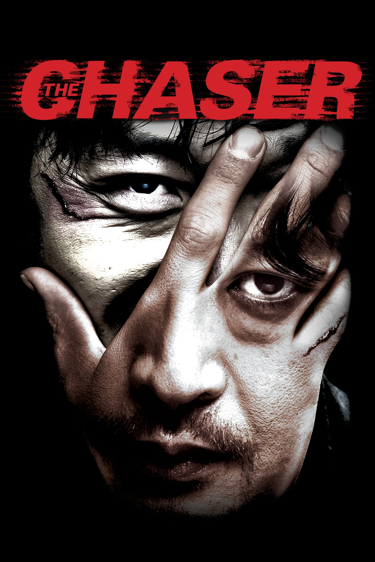 追擊者 (2008)