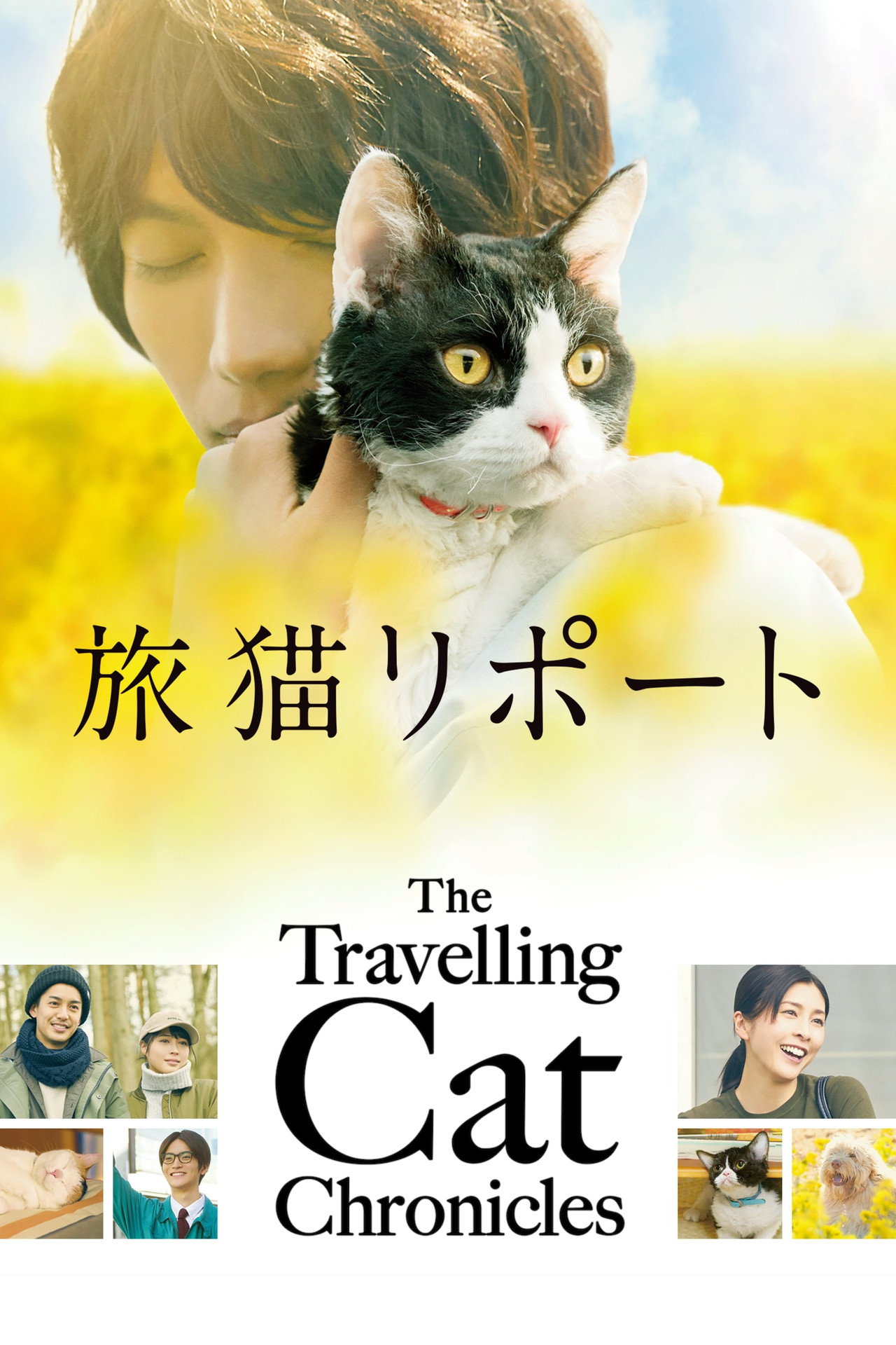 The Travelling Cat Chronicles (2018) - Фильм