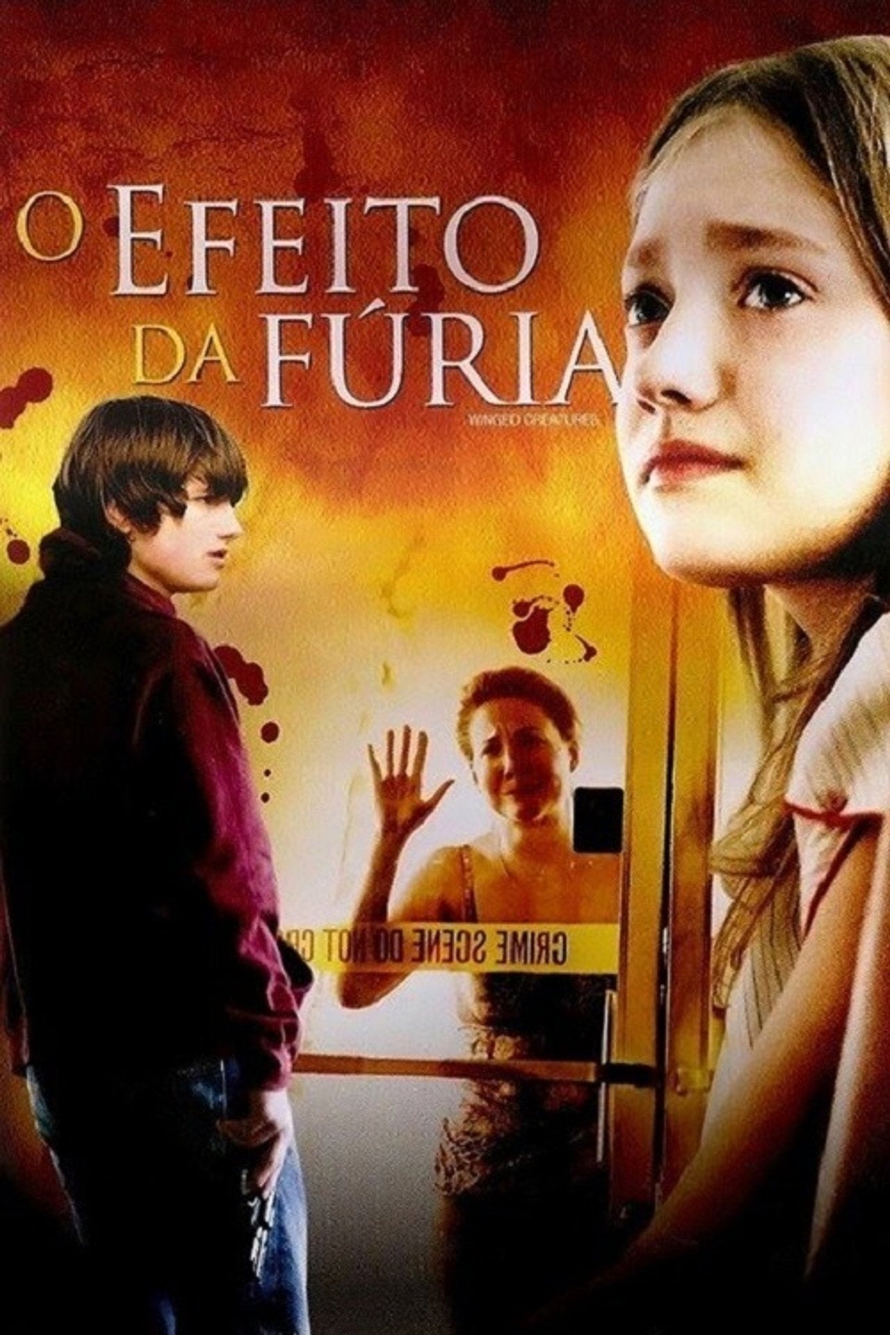 O Efeito da Fúria (2009)