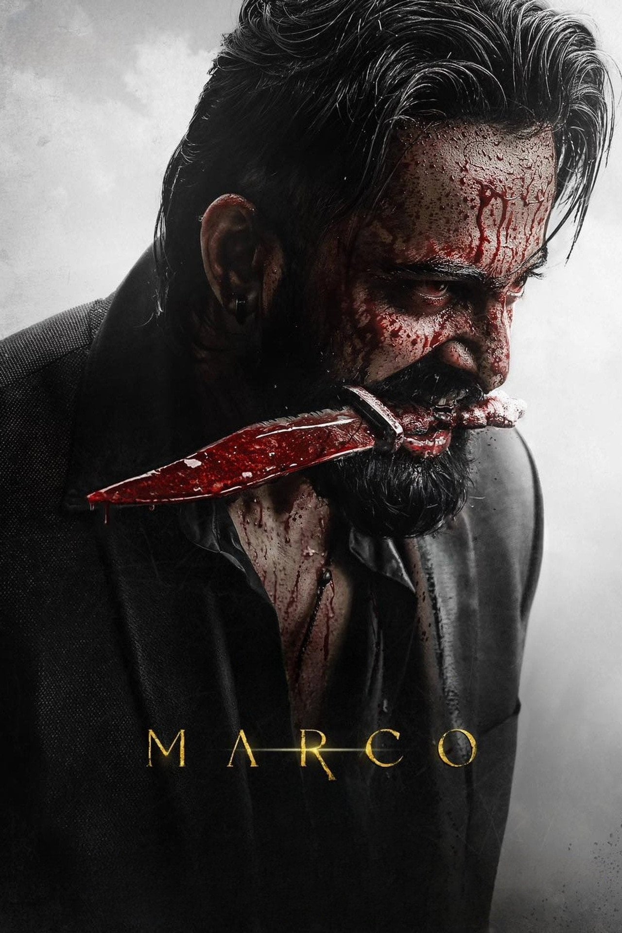 Marco (2024) poster