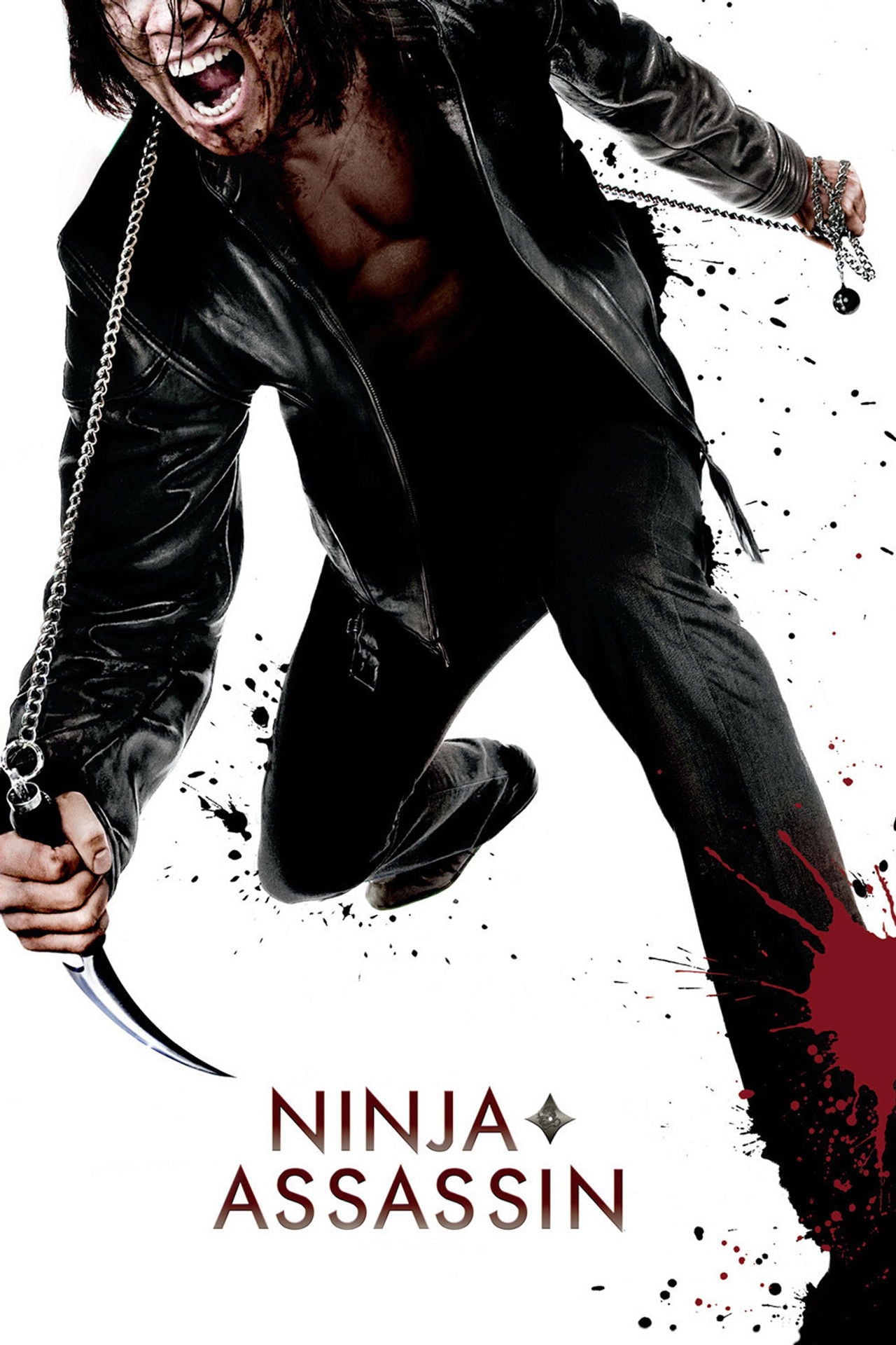 ニンジャ・アサシン (2009) - 映画