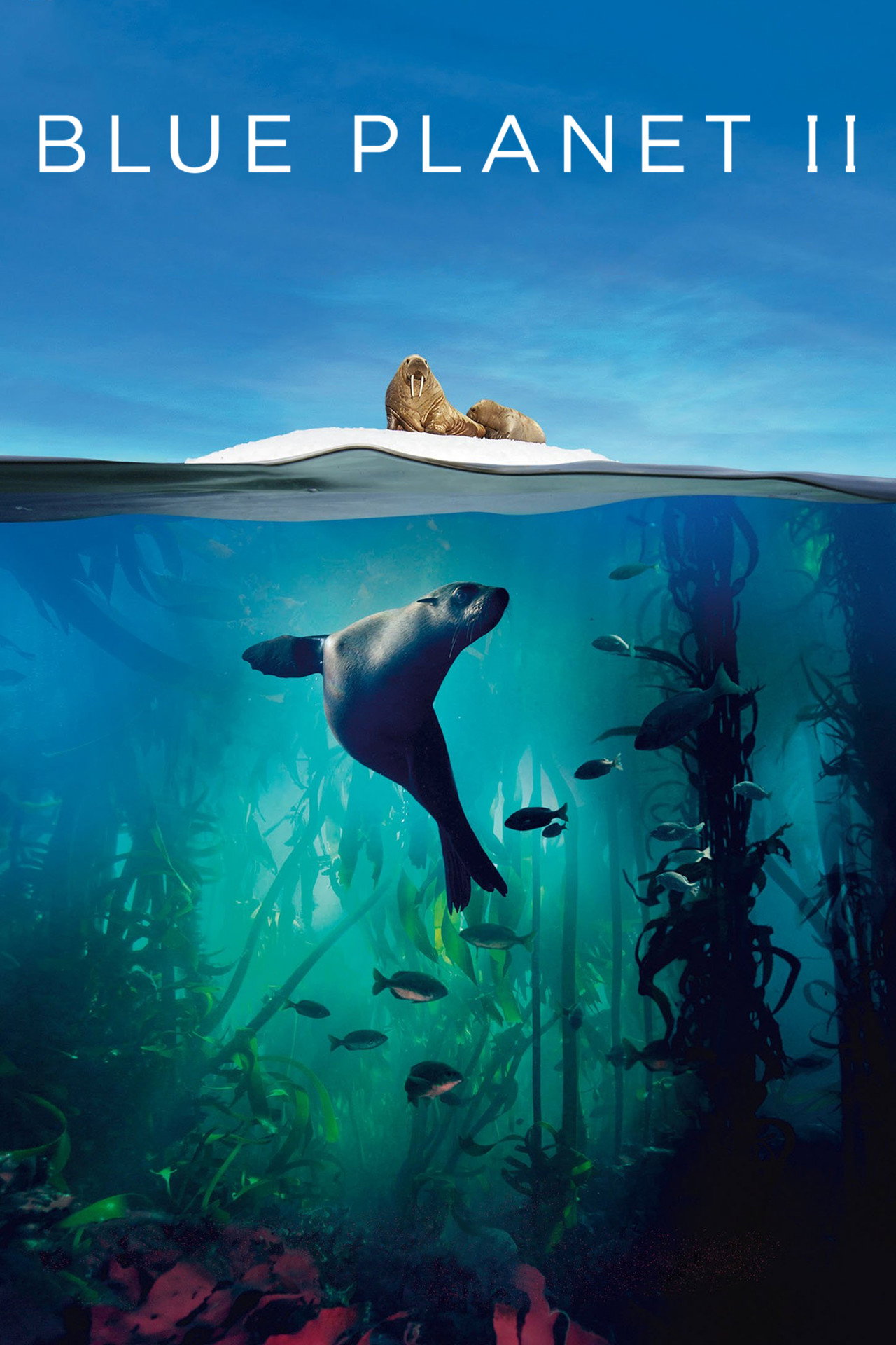 Blue Planet II (2017) - TV