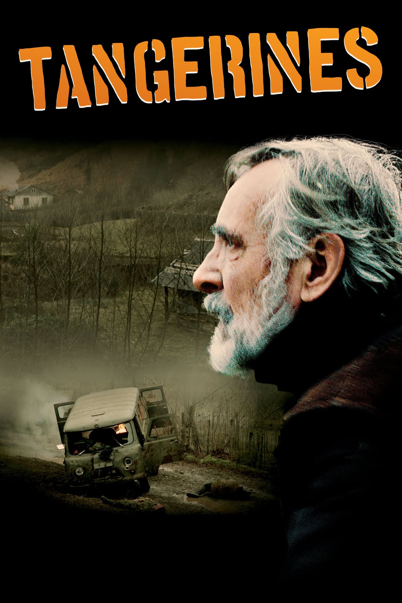 Мандарины (2013) - Фильм