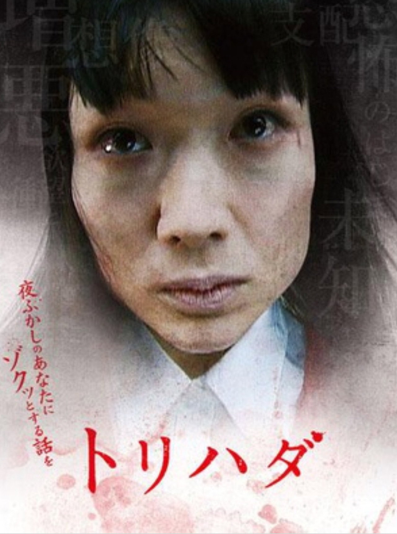 Zotto Tv - 12 (2007)
