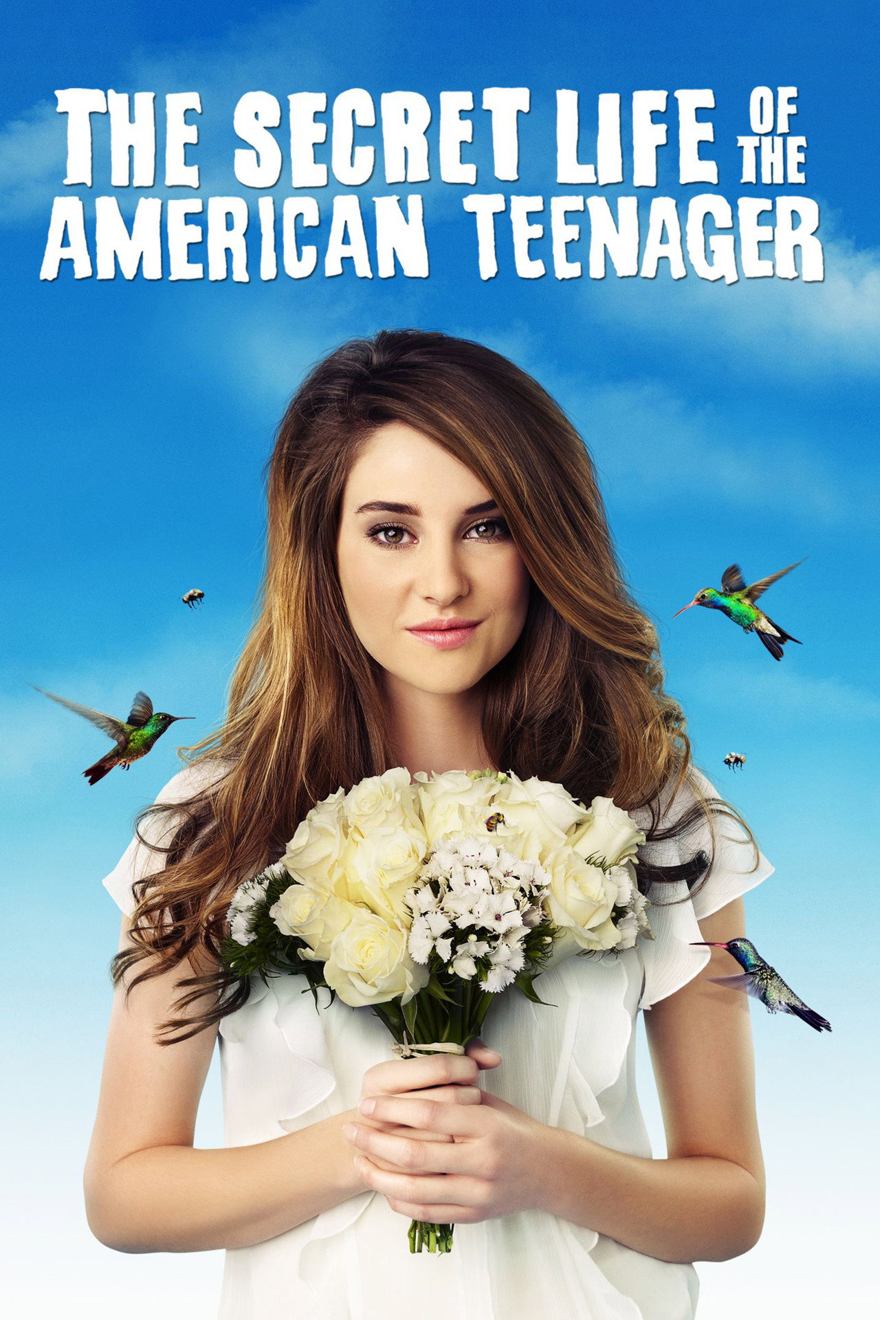 Vida secreta de una adolescente (2008)