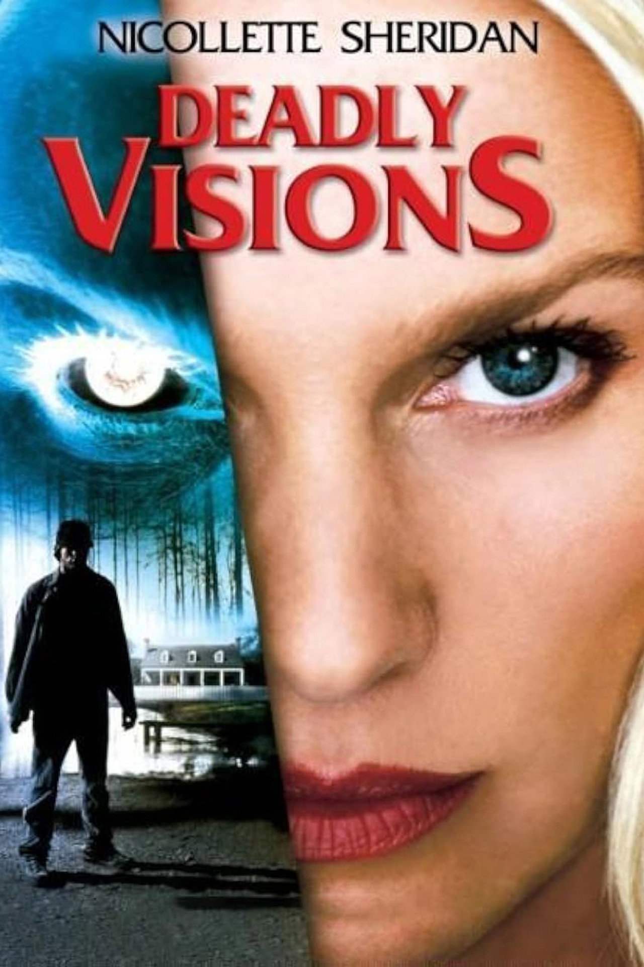 Visões de Outra Vida (2004)