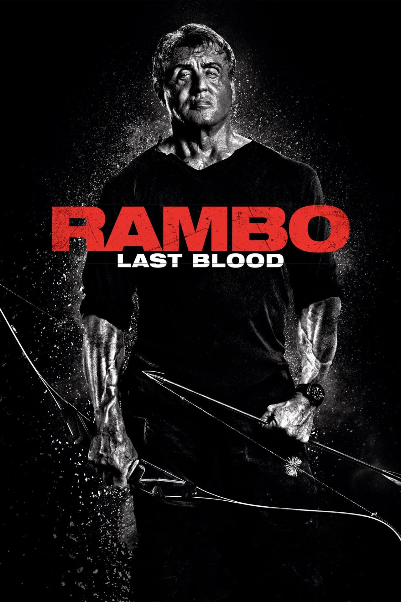 Rambo - Last Blood (2019) - Film