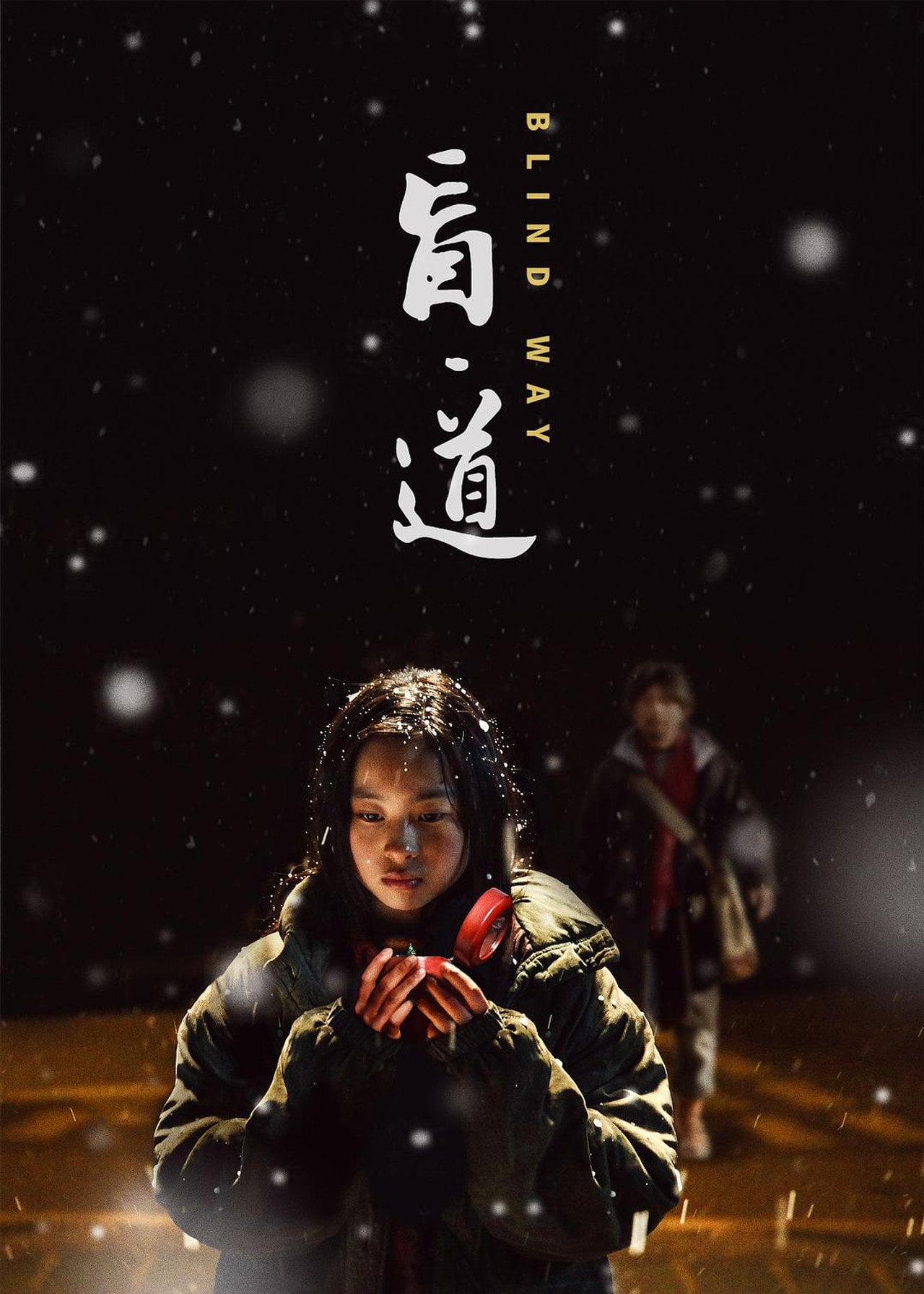 盲道 (2017)