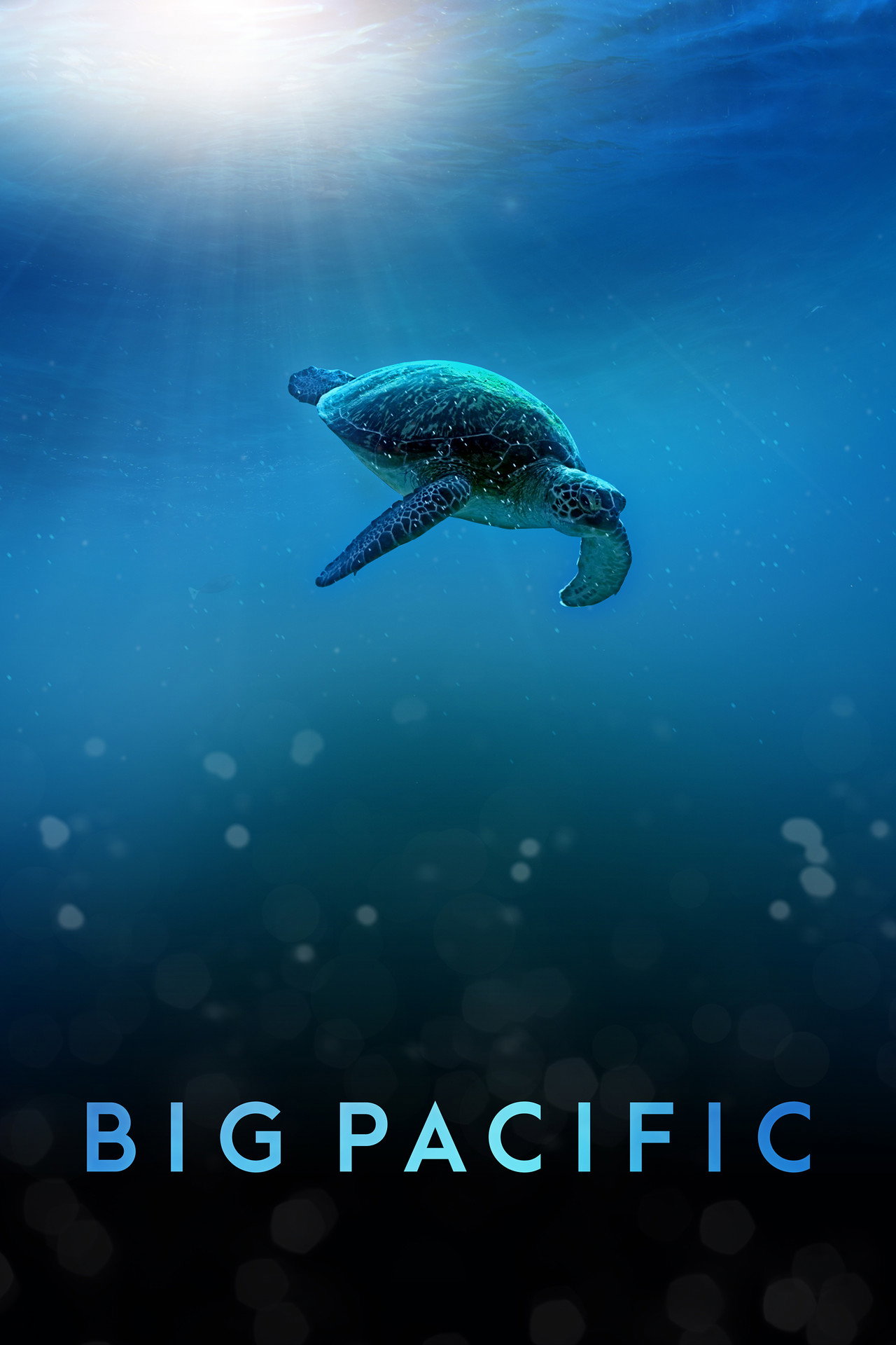 Big Pacific (2017) - TV