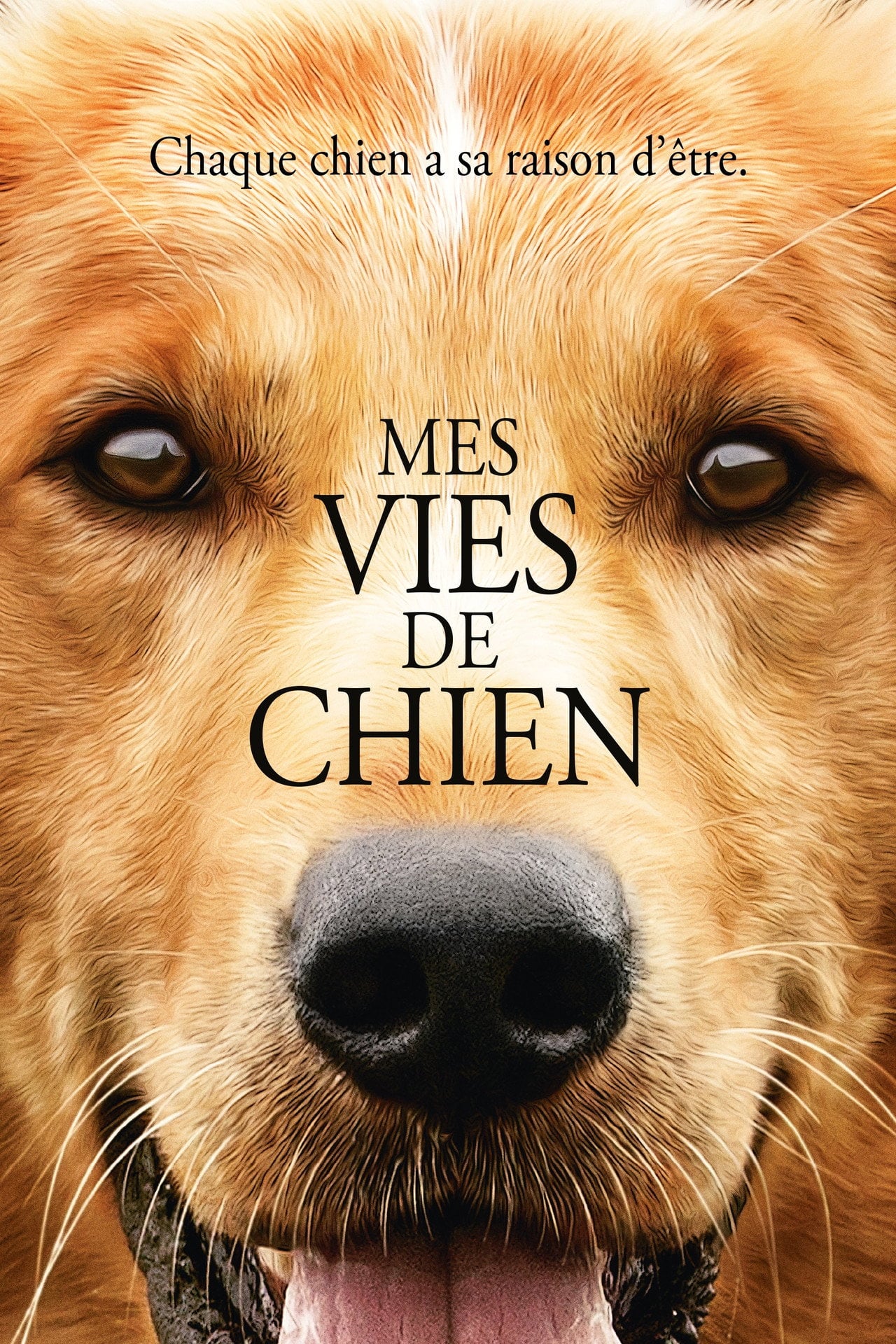 Mes vies de chien (2017) poster