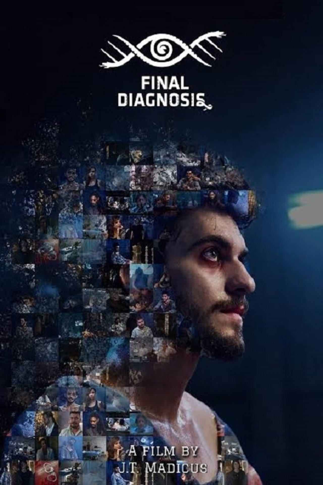 Final Diagnosis (2025) poster