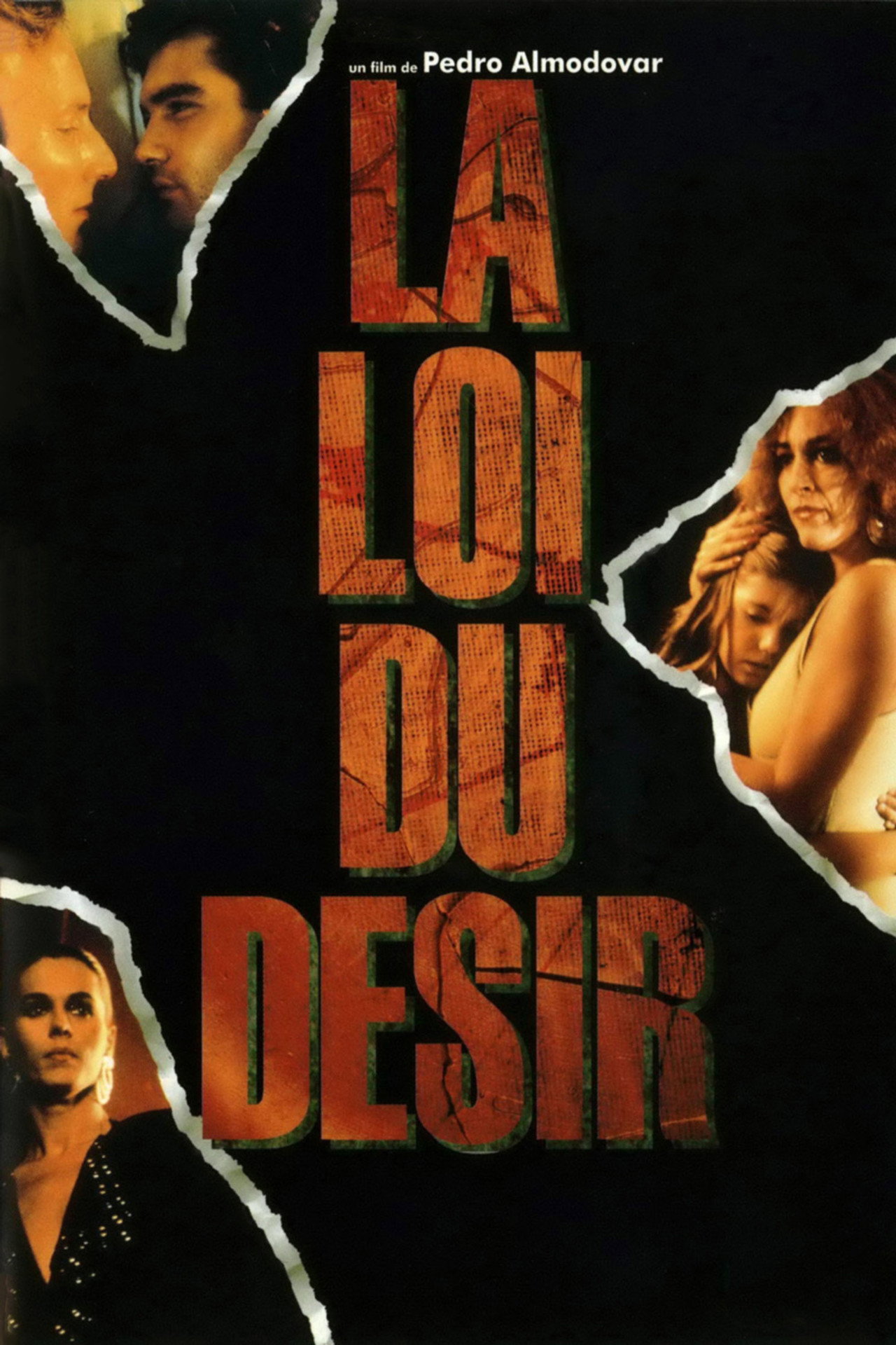 La Loi du désir (1987)