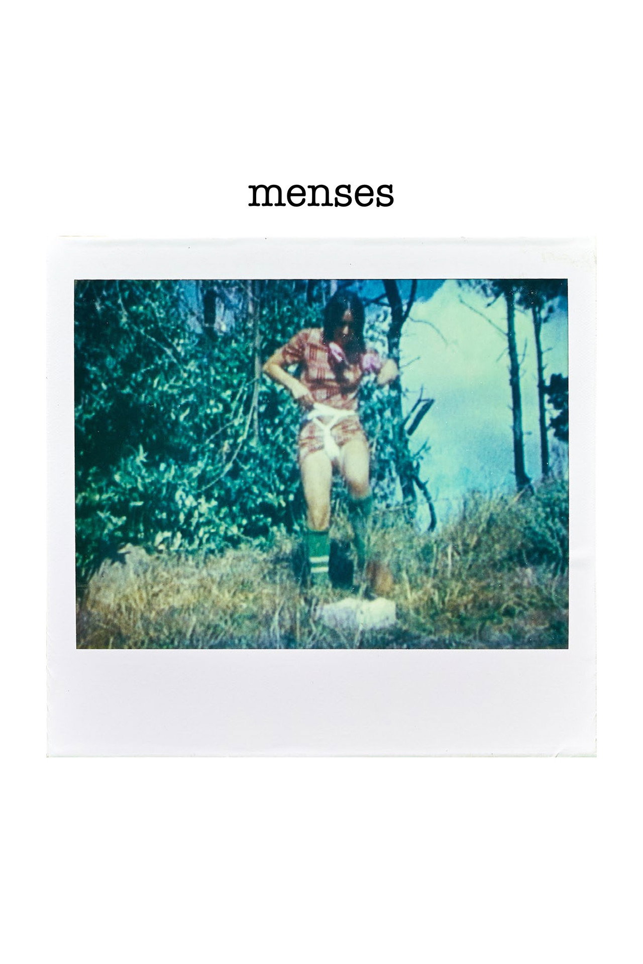 Menses (1973) poster