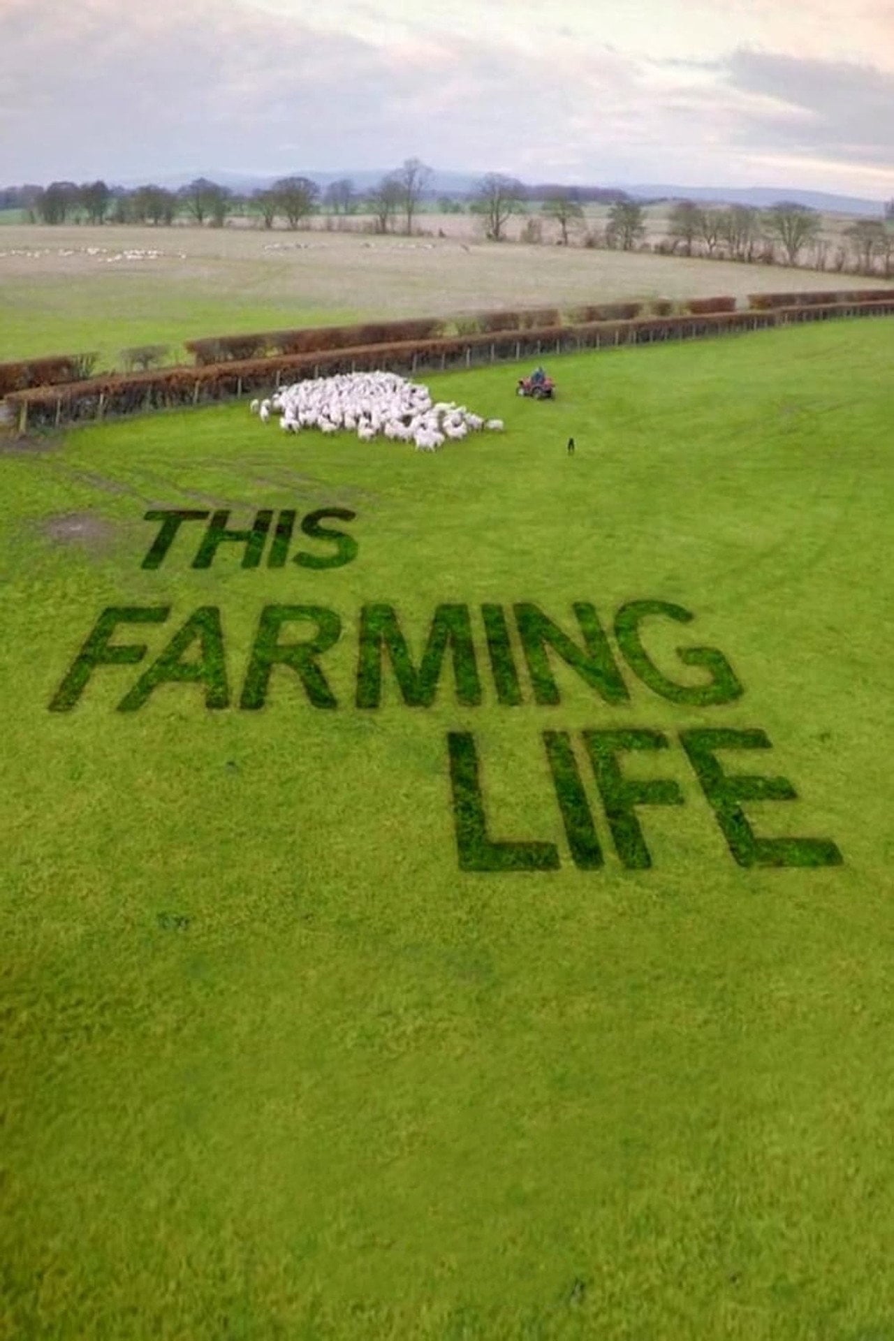 This Farming Life (2016) - TV