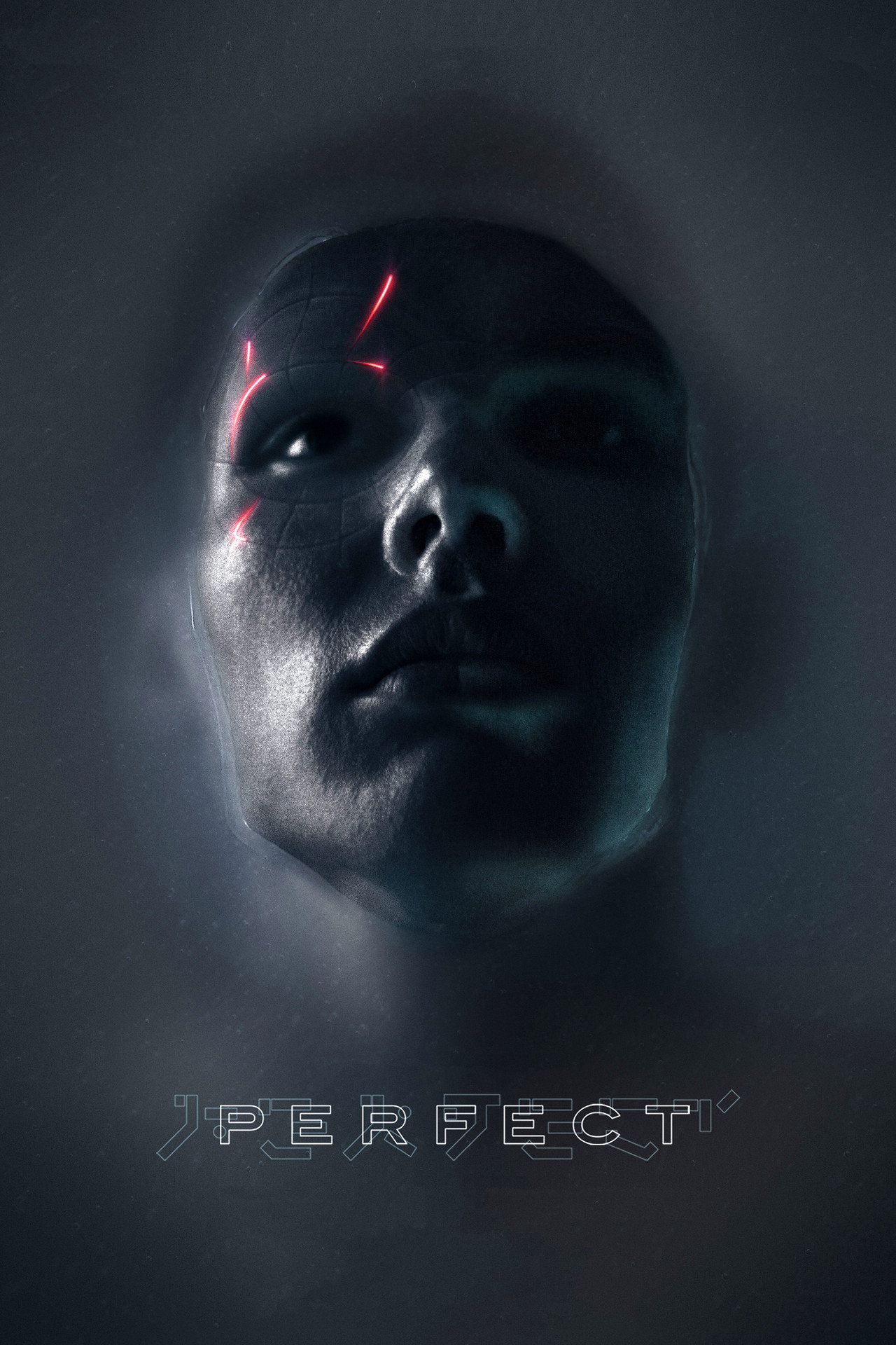 完美 (2019) poster