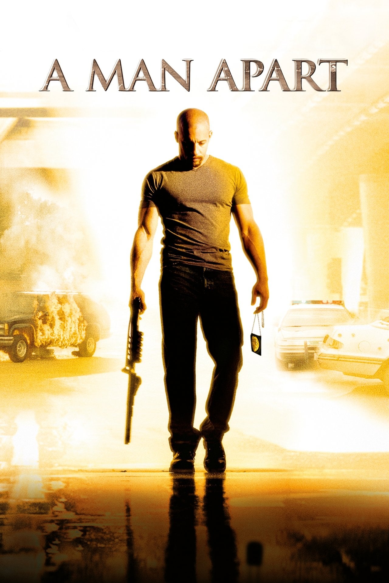 Il risolutore (2003)