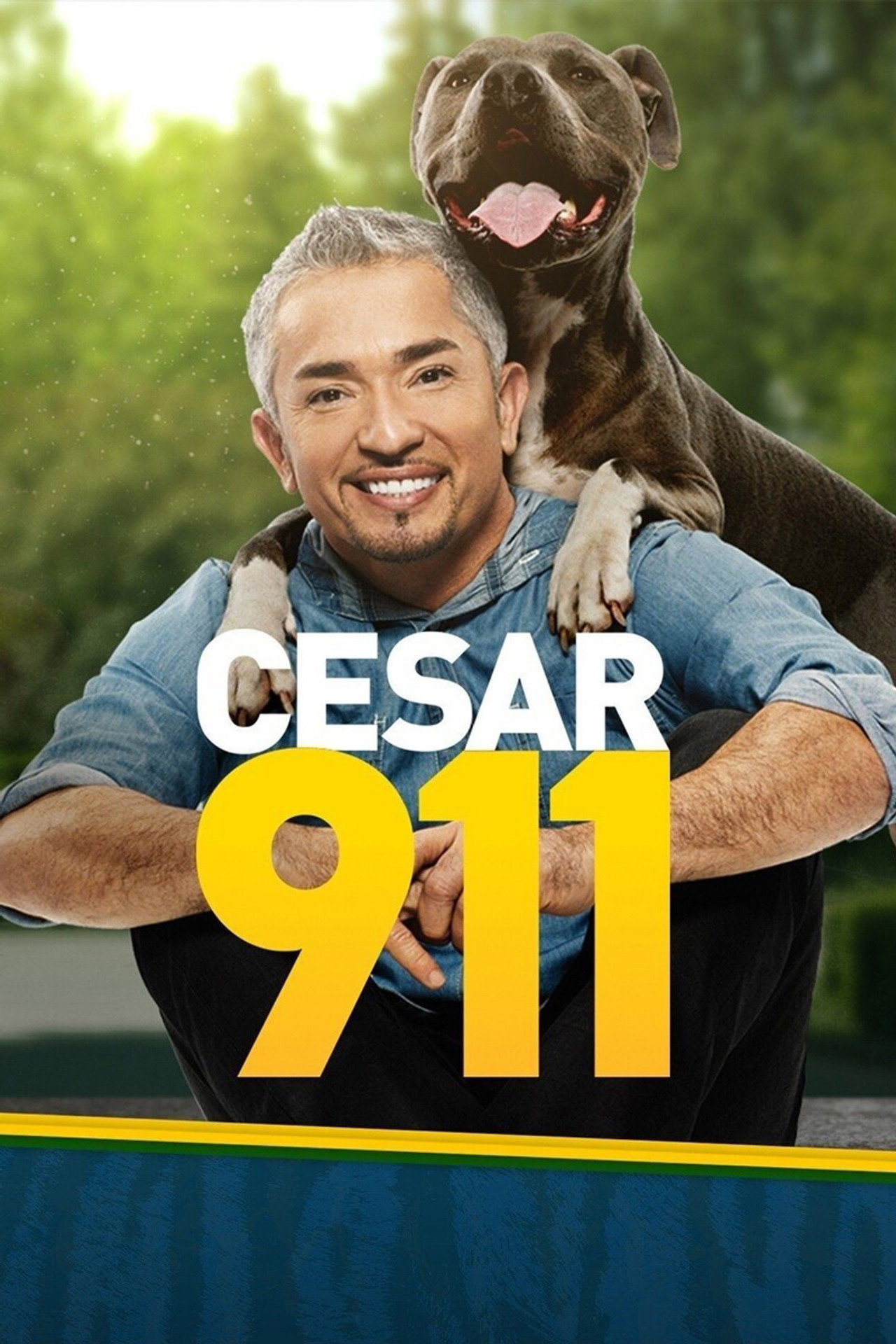 SOS César (2014) poster