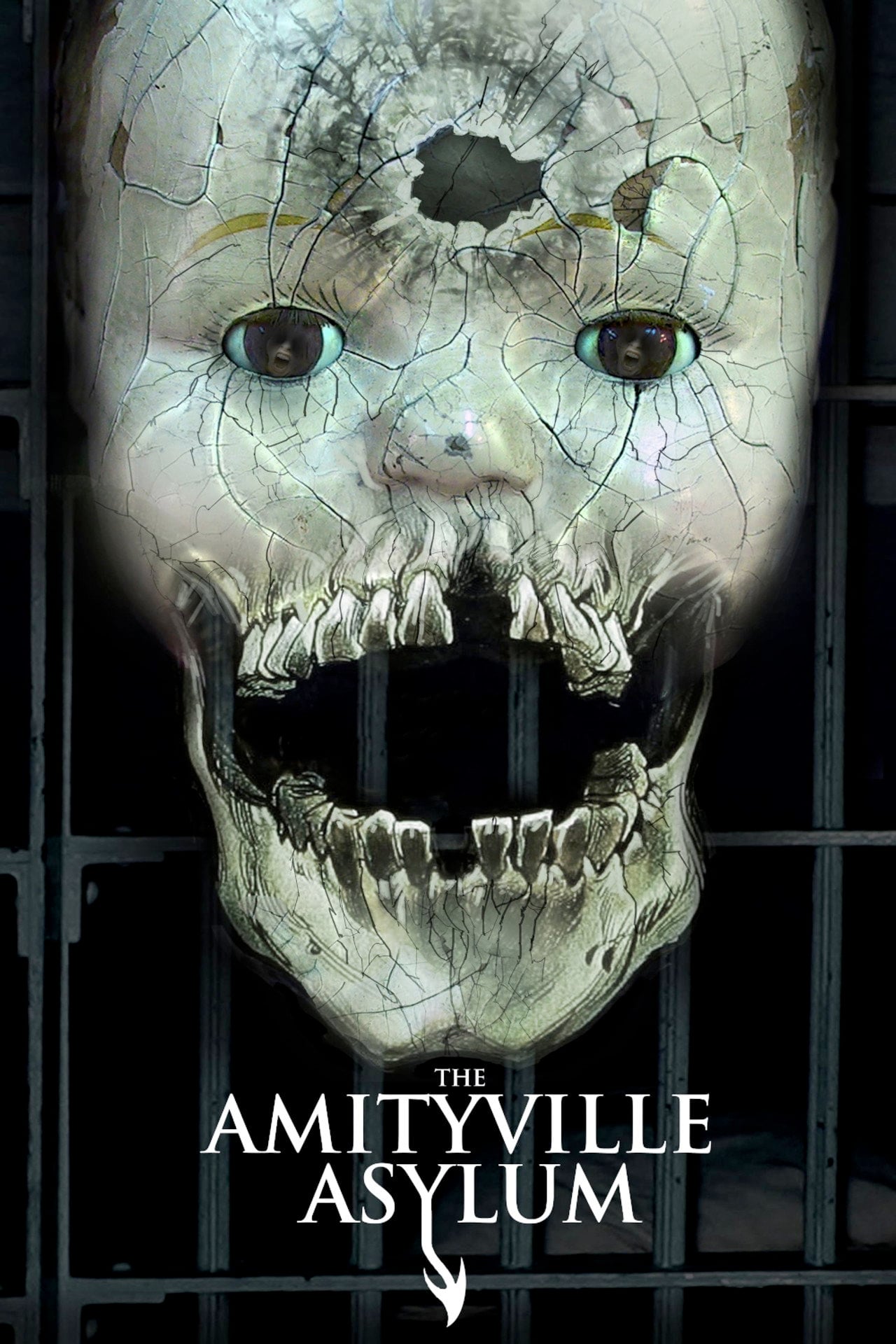 The Amityville Asylum (2013) - Film
