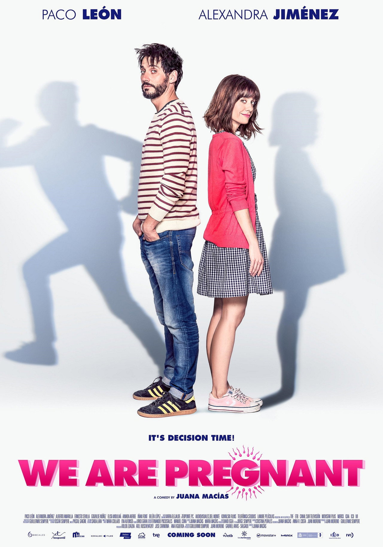 我懷孕了 (2016) poster