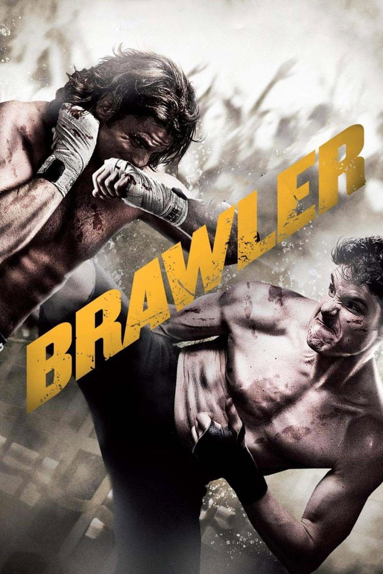 Brawler (2011) - Film