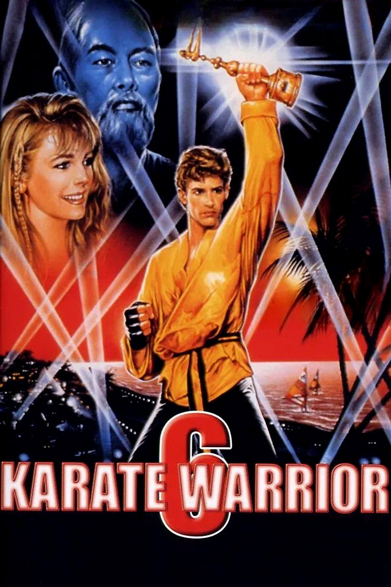 空手道少年 6 (1993)