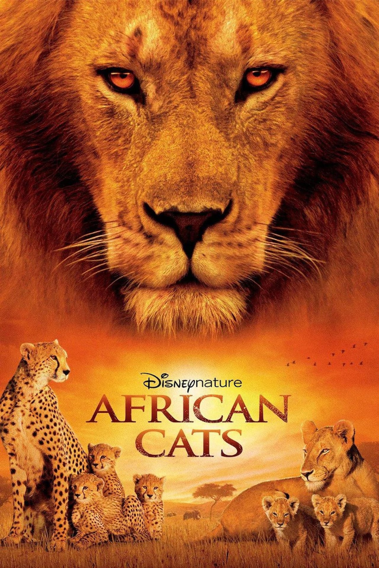 Африканские кошки: Королевство смелых (2011)