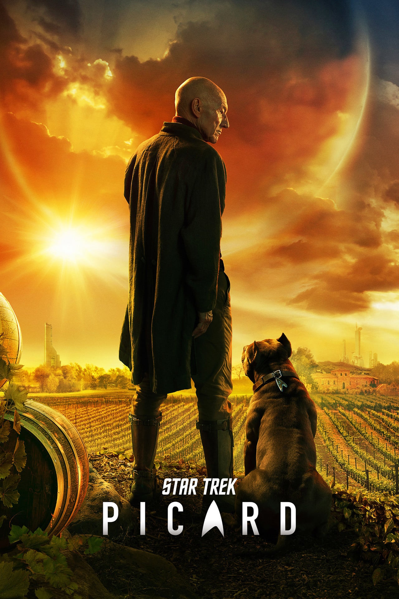 Star Trek: Picard (2020) poster