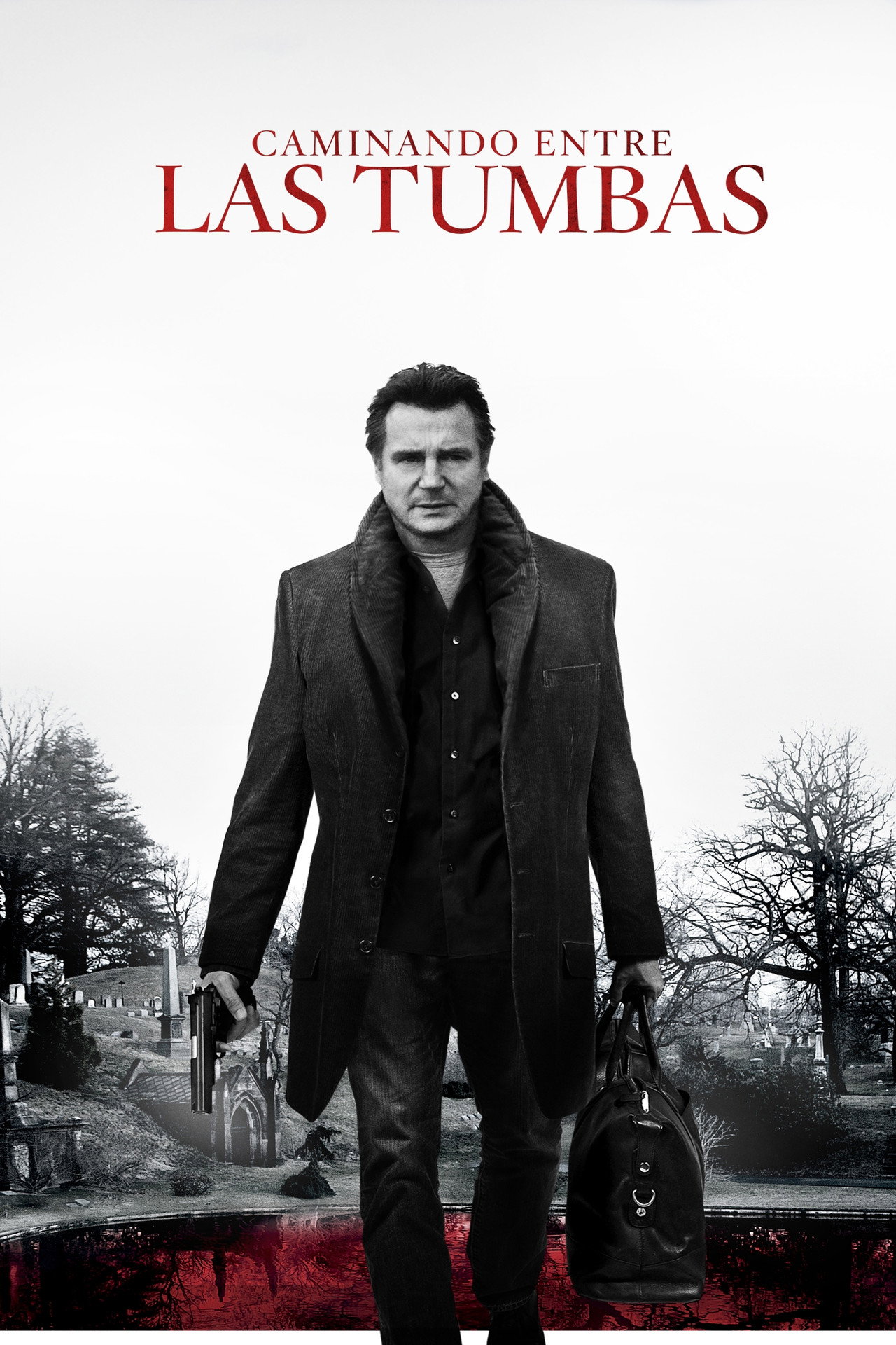 Un Paseo por las Tumbas (2014) - Película