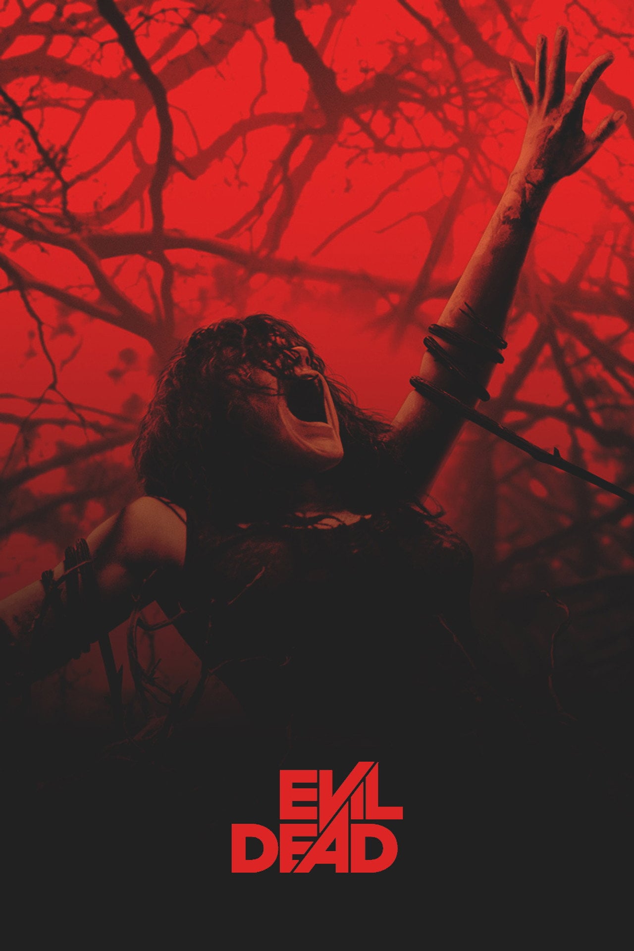 Evil Dead (2013) - Film