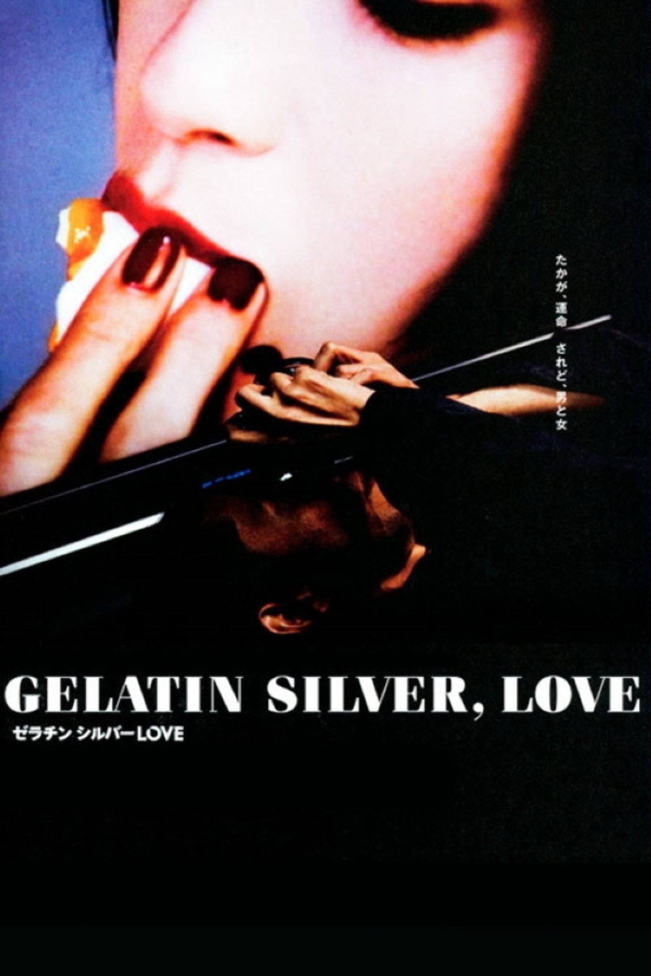 gelatin silver love (2009) poster