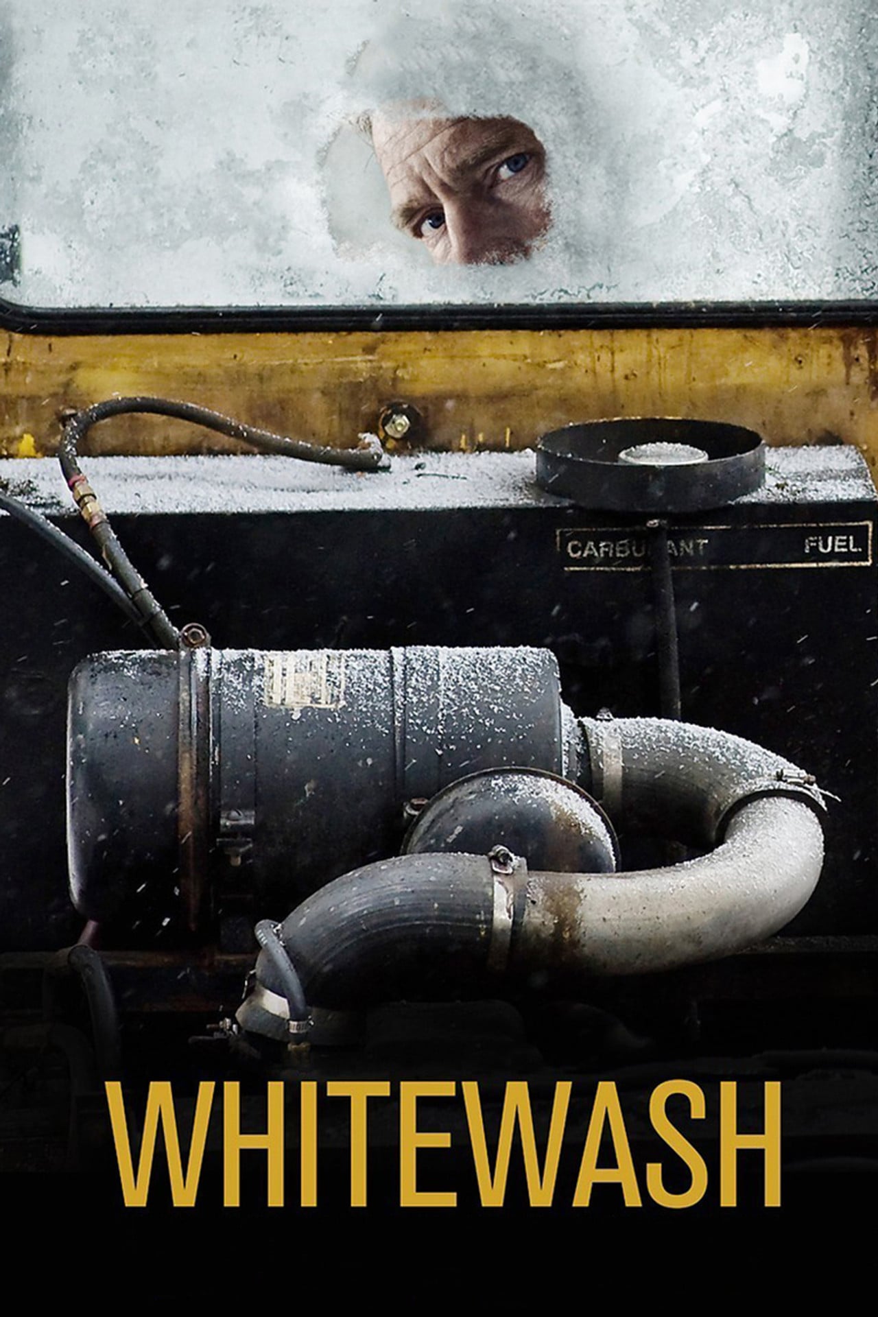 Whitewash (2013) poster