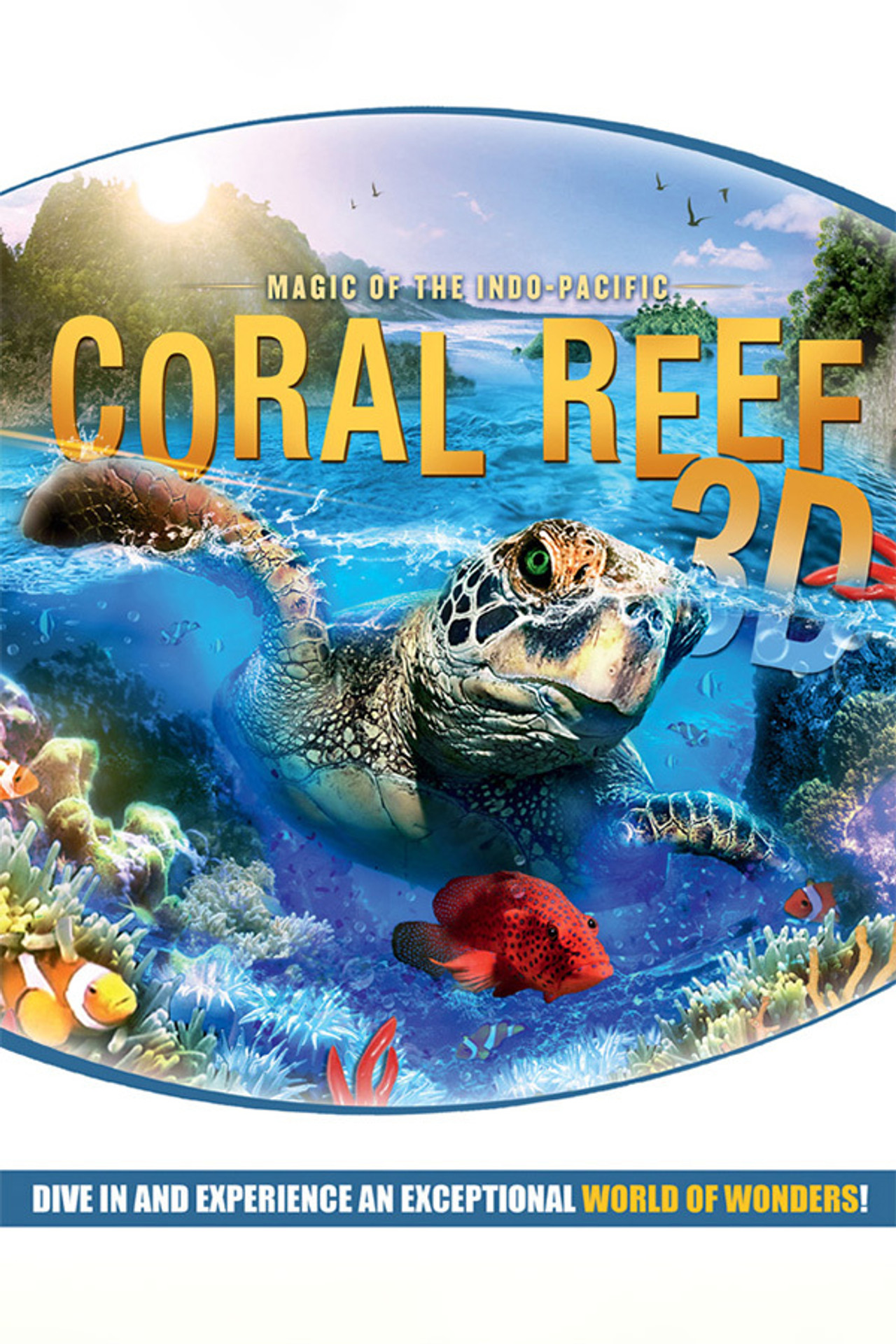 Coral Reef Magic Of The Indo Pacific (2012) - Movie