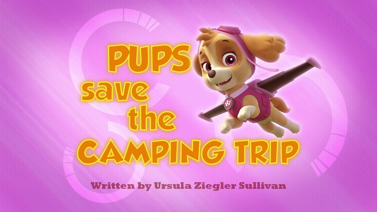 La Patrulla salva un día de camping