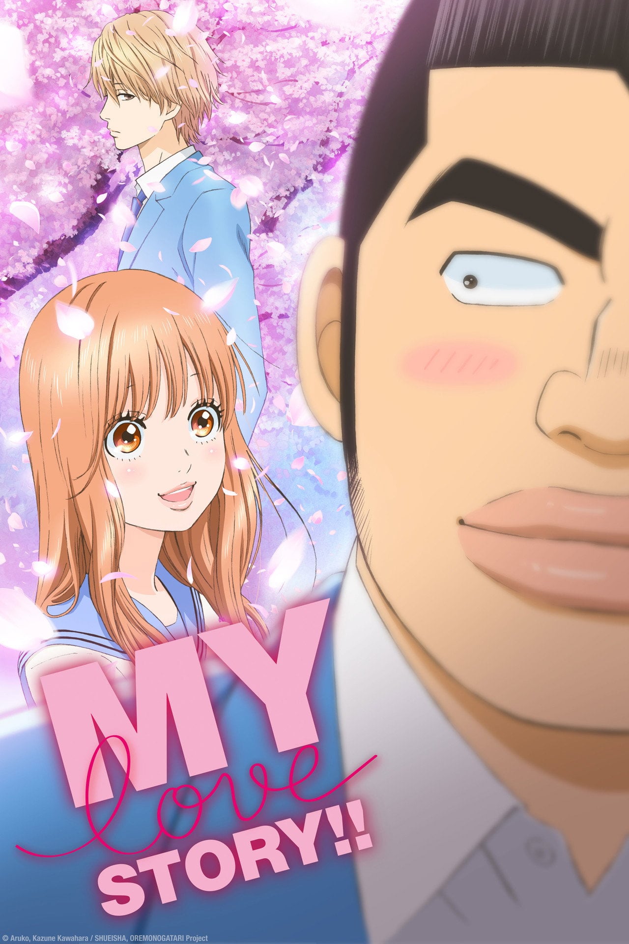 My Love Story!! (2015)