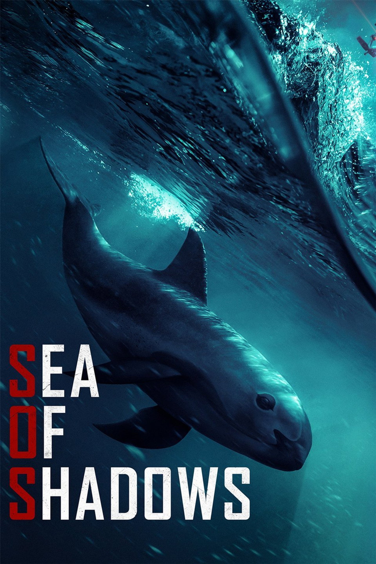 Sea of Shadows (2019) - Film