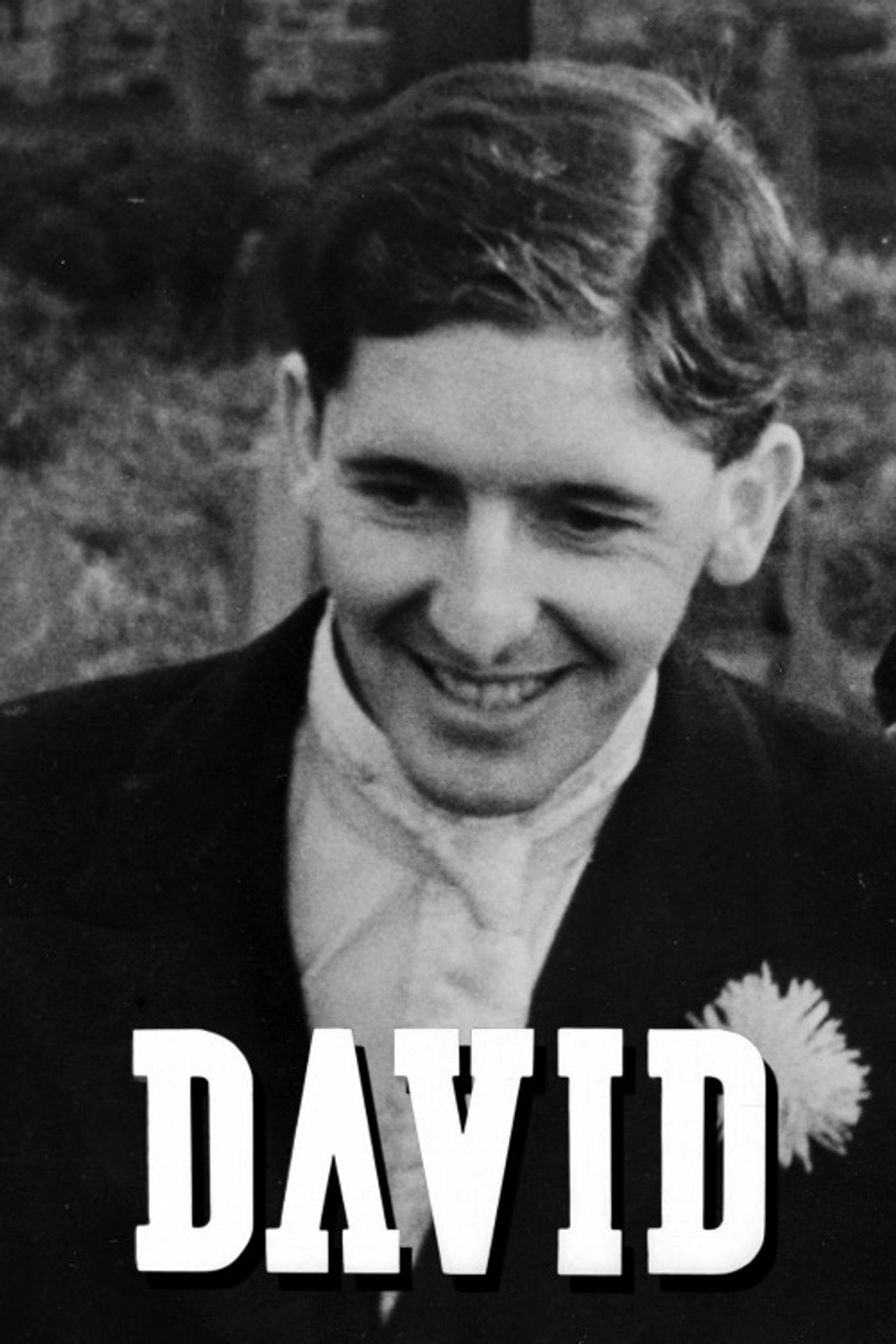 David (1951) poster