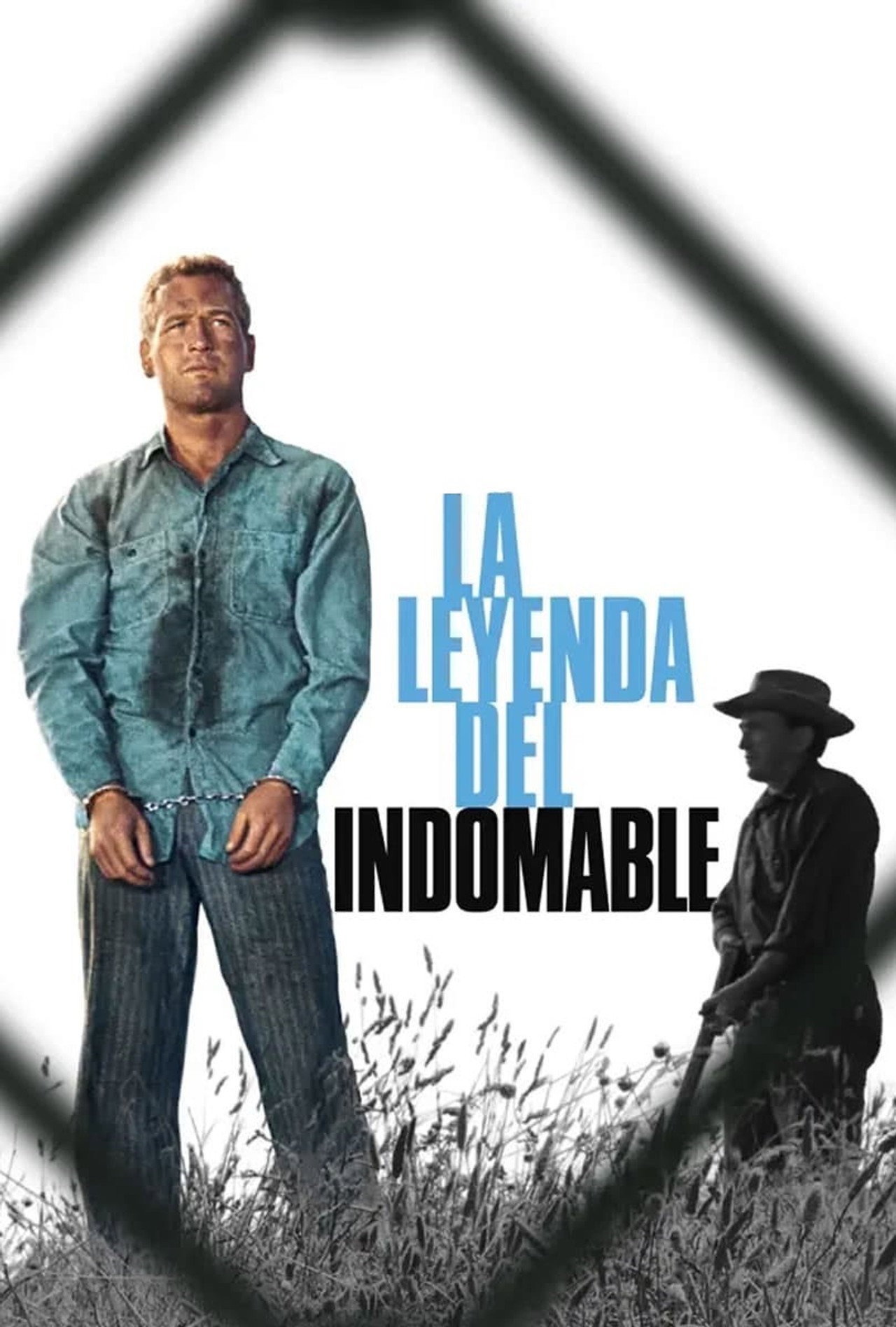 La leyenda del indomable (1967) poster