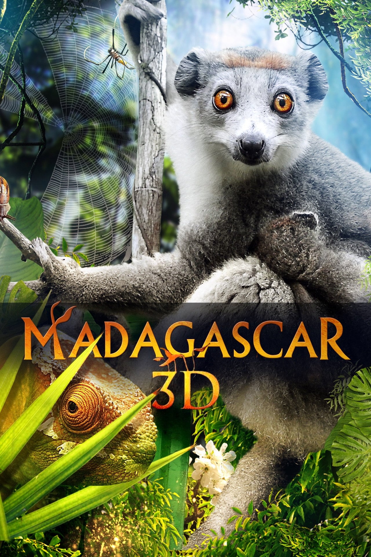 Madagascar 3D (2013) - Film